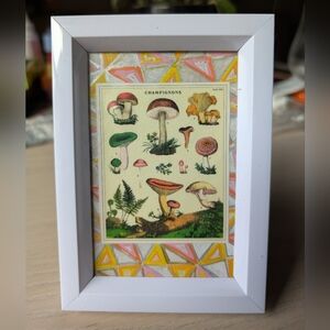 Mushroom Collage, Dove Gray Frame